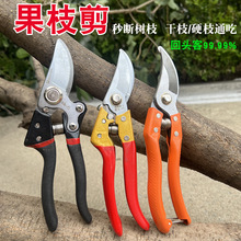 �����P�����߶๦�ܹ��@��֦��ժ����SK5�@����֦�������辰