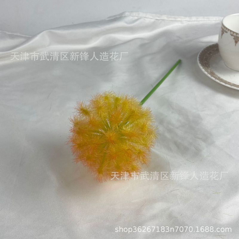 タンポポは玉ねぎの花球の造花撮影だけを模倣しています。|undefined