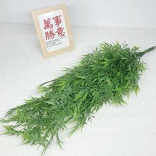 ����Gֲ�����ϱڒ��ٗl�����������bG�~�ٲ�69Ŀ���~�߷���