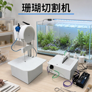 BOXSEAɺ���и�C �����~�ѷ�ֳ�����Ƭ����ɺ��������ɺ���и�