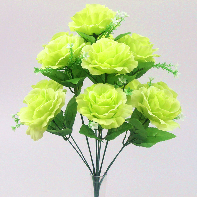 12-cabeza París Rosa Verde