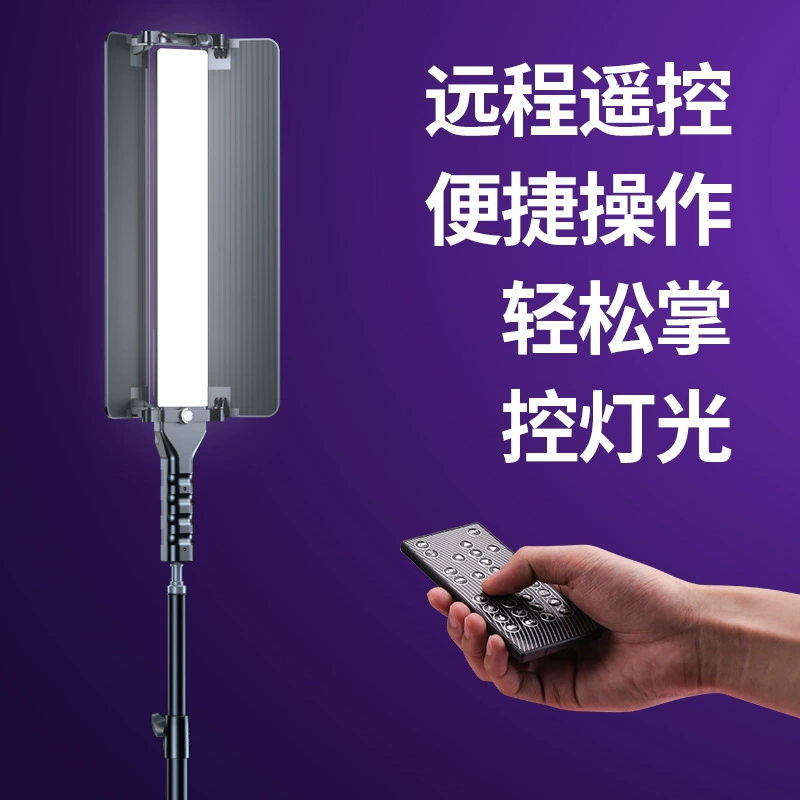 Handheld LED travel fill light