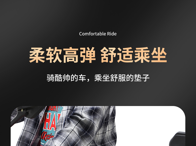 Suitable for Electric Vehicle Seat Cushion Cover, Thickened Velvet, Comfortable, Wear-Resistant, Durable, Sun-Proof, Heightening and Shock-Absorbing Electric Vehicle Seat Cushion