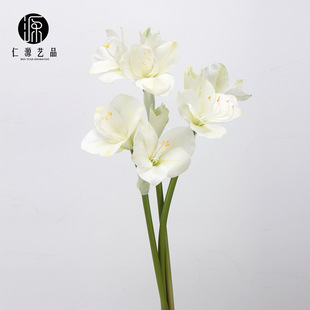 ���Sֱ�N ���滨�����m��֦��피t �껨��c�ٻ���c�Ҿ��b���