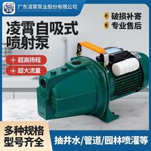 广东凌霄水泵喷射泵JET-100型增压泵家用全自动自吸泵井水抽水机