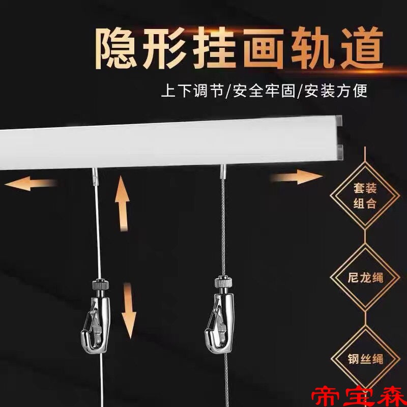 track Hanging device Stainless Steel Wire adjust household Hanging wire hide Art exhibition Gallery Hanging Hook Hanging mirror line