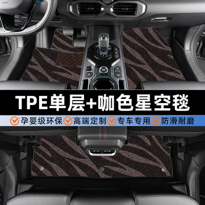 Modelə uyğun ayaqaltı: Guochao Champion Tpe Car Floor Mats - haval-h6-24-25-models-fourth-generation-two-wheel-drive-tpe-foot-pad-coffee-starry-sky-blanket