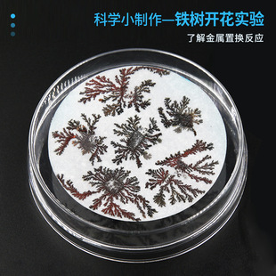 �F���_���ƌW��򞃺ͯ�ֹ�diy�Ƽ�С�����W�����W���ϰ��������