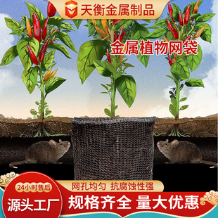 ���P䓽��پW�� ���ݸ��������ҧ�����W���^�V�������P䓽��پW