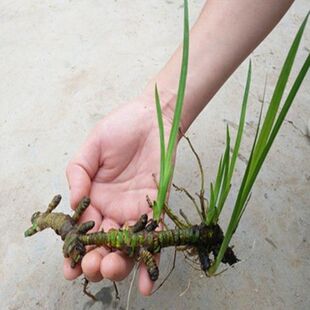 ����ˮ��ˮ������ֲ�������~�׃���ˮ����������̨΢�쾰�^�Gֲ