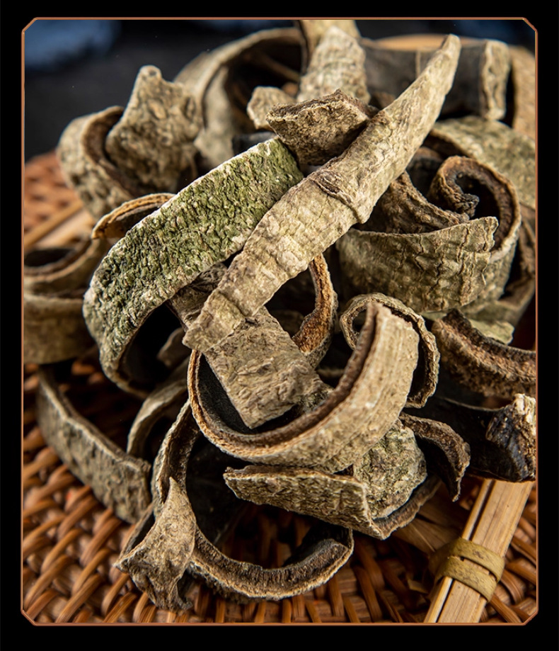 Jiu Bi Ying Dried Herb 500g Ilex rotunda Bark Traditional TCM Decoction Ingredient in use