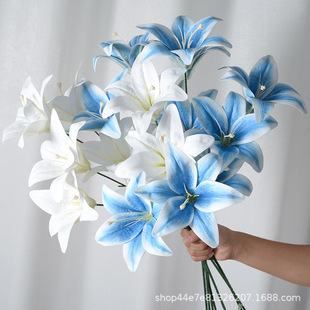 ���滨3�^�z���ٺ� ��c�Y�üҾ��b�3D��ӡ����ٻ��Ĕz�������l