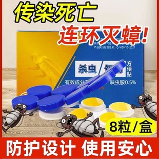 Cockroach-Killing Medicine Household Artifact Indoor Non-Toxic Whole Nest One Nest End Glue Bait Kitchen Killing Xiaoqiang Nemesis