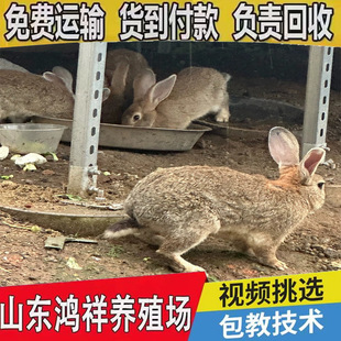 2025�°�������r���Bֳǰ�����������߮a�����r��ĸ�÷N�Ãr��