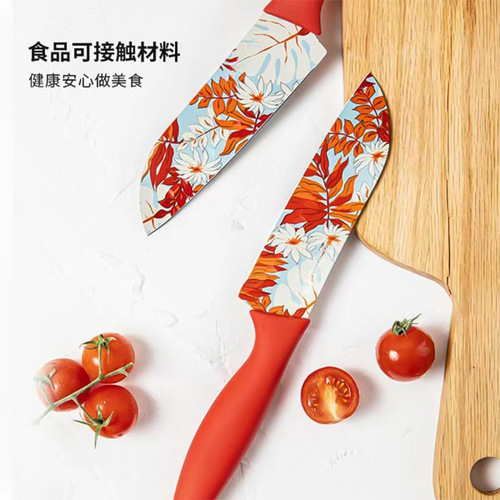 Stainless steel household fruit knife, kitchen knife, meat slicing knife, printed knife, kitchen baby food knife, dormitory knife