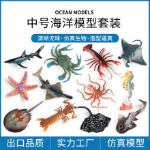 �羳������̖����ģ�����b�з���~��צ�~���rƤƤ�r��ͯ�J֪���