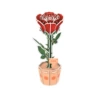 1690-85 Rose