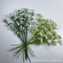 2��M���Ƿ��滨 ��c·���� 2��̿�M���ǽ����Ҿ����Ի����b�