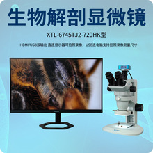 ��������R��Ŀ�wҕ�@΢�RXTL-6745TJ2-720HK��HDMI/USB�pݔ��