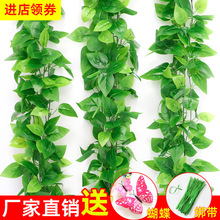 �ٻ��b��{ˮ�ܵ��ٗl�ړ����~����G�}��������bGֲ�����~