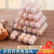 塑料鸡蛋托一次性透明柴土鸭蛋鹅蛋鹌鹑鸽子带扣包装礼品盒