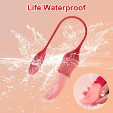 ¿׋I^ꖾŮĦοAVӰvibrator