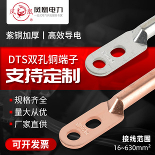Customized Copper Terminal Block Dt-Double Hole / Aperture / Hole Spacing / Size / Bending Copper Nose