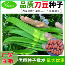 ����󵶶��N�Ӵ����ļ��＾�͟��ļ��߲˒��������L�󵶶��N��