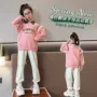 大童女童新款春秋款运动服