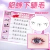 [Glip -free model] 6 rows of eyelashes under Diao Chan