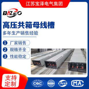 600A/800A/1000A/1250A/1600A/1800A/2000A High Voltage Common Box Busbar Trunking