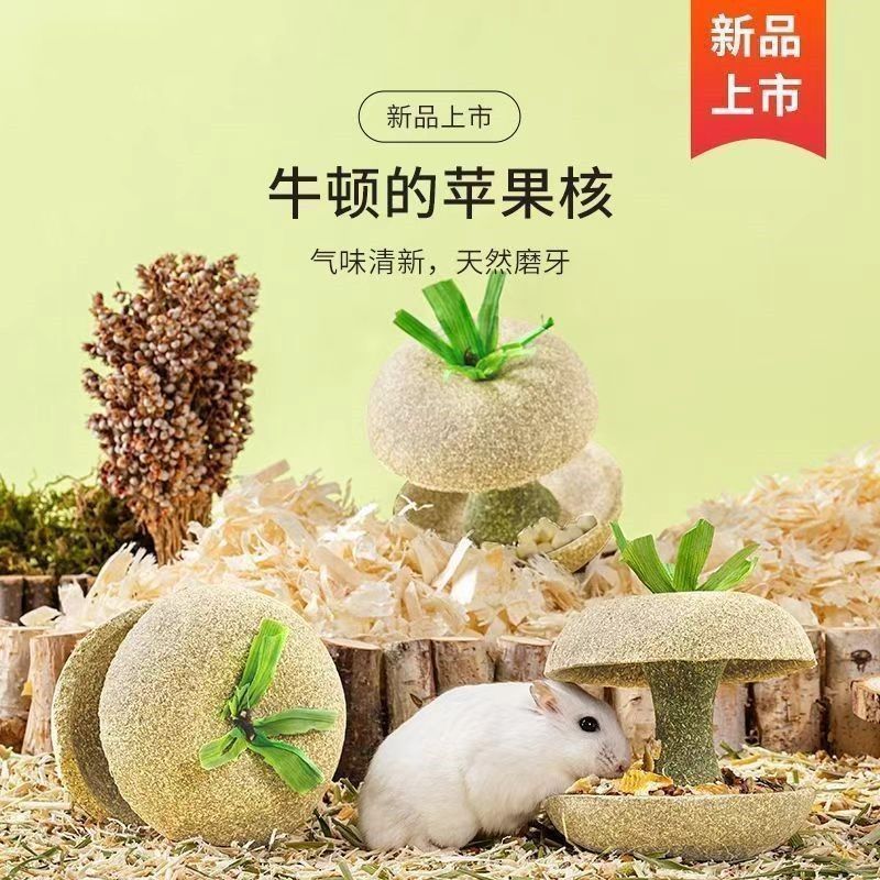 仓鼠苹果核磨牙棒金丝熊仓鼠磨牙食物小零食耐磨躲避造景玩具用品
