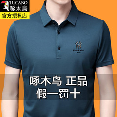 2025 夏キツツキメンズアイスシルク半袖 Tシャツマルベリーシルク新ラペル Tシャツ夏のトップス男性