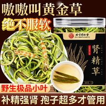 北京同仁堂长白山野生肾精草草固精强肾嗷嗷叫旗舰店