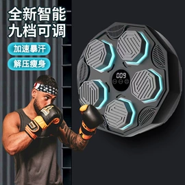 乒乓球;其他健身器材;拳击用品