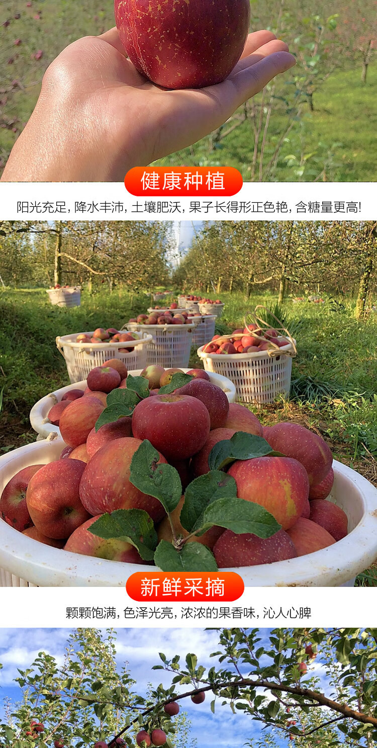 一键复制_20221007120324