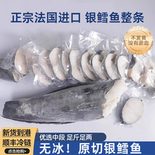 法银鳕鱼儿童新鲜深海鱼整条中段切块鳕鱼片送宝宝婴儿辅食食谱