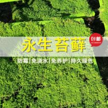 ����̦�\����\�\�G�҃�ƽ̨��Ƥ��ֲ���❲ˮ�G̦��ɽˮܛ�b