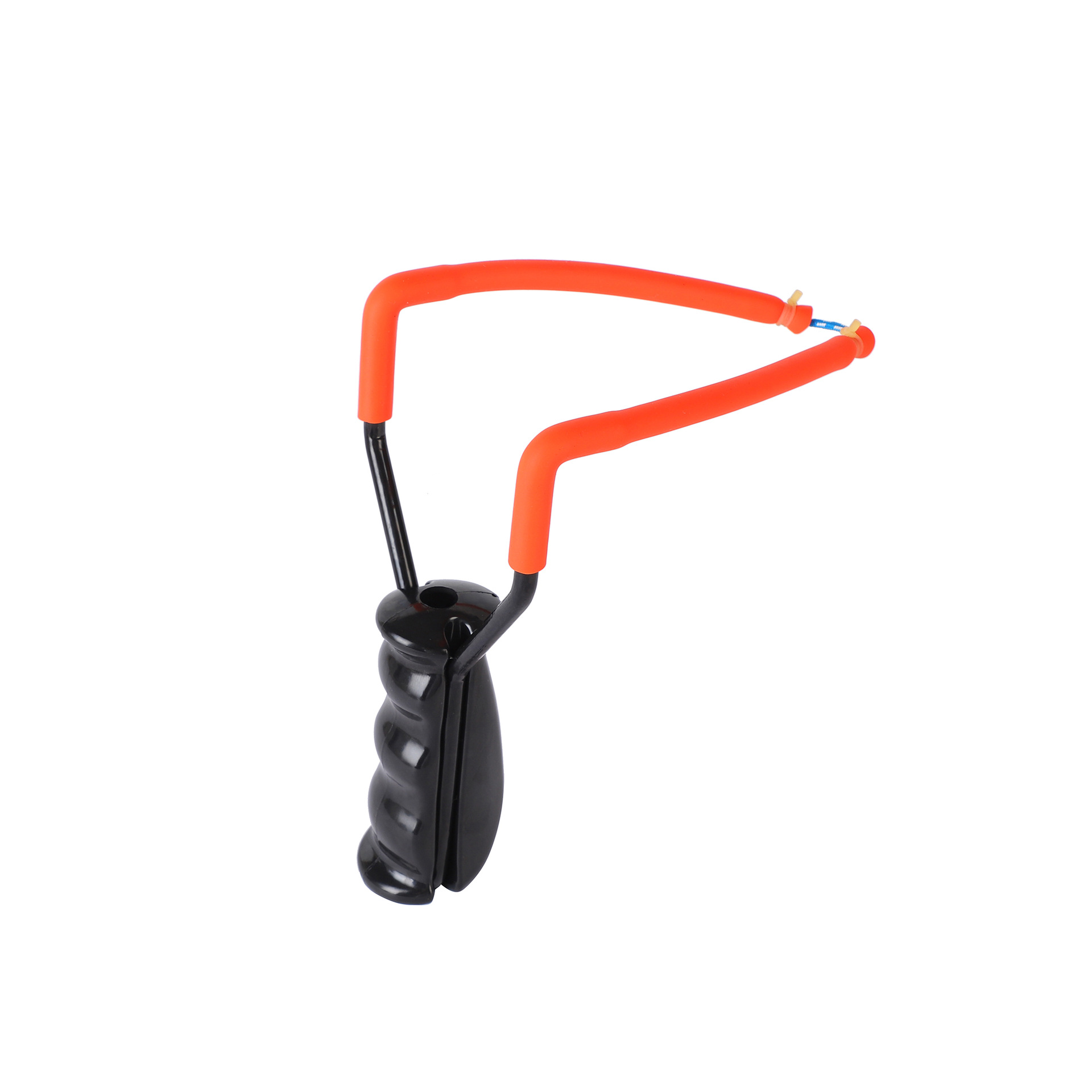 둥근 물고기