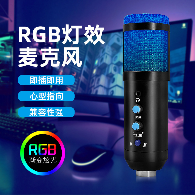 Cross-Border Bm800Usb Condenser Microphone with Ear-Return Monitoring Silent Reverb Computer Microphone Karaoke Microphone