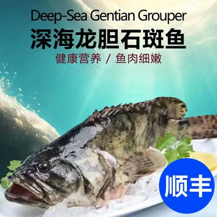 ʯ���~���r�����r����~Ұ������ϻ�����t�ڰ�����r���]��S