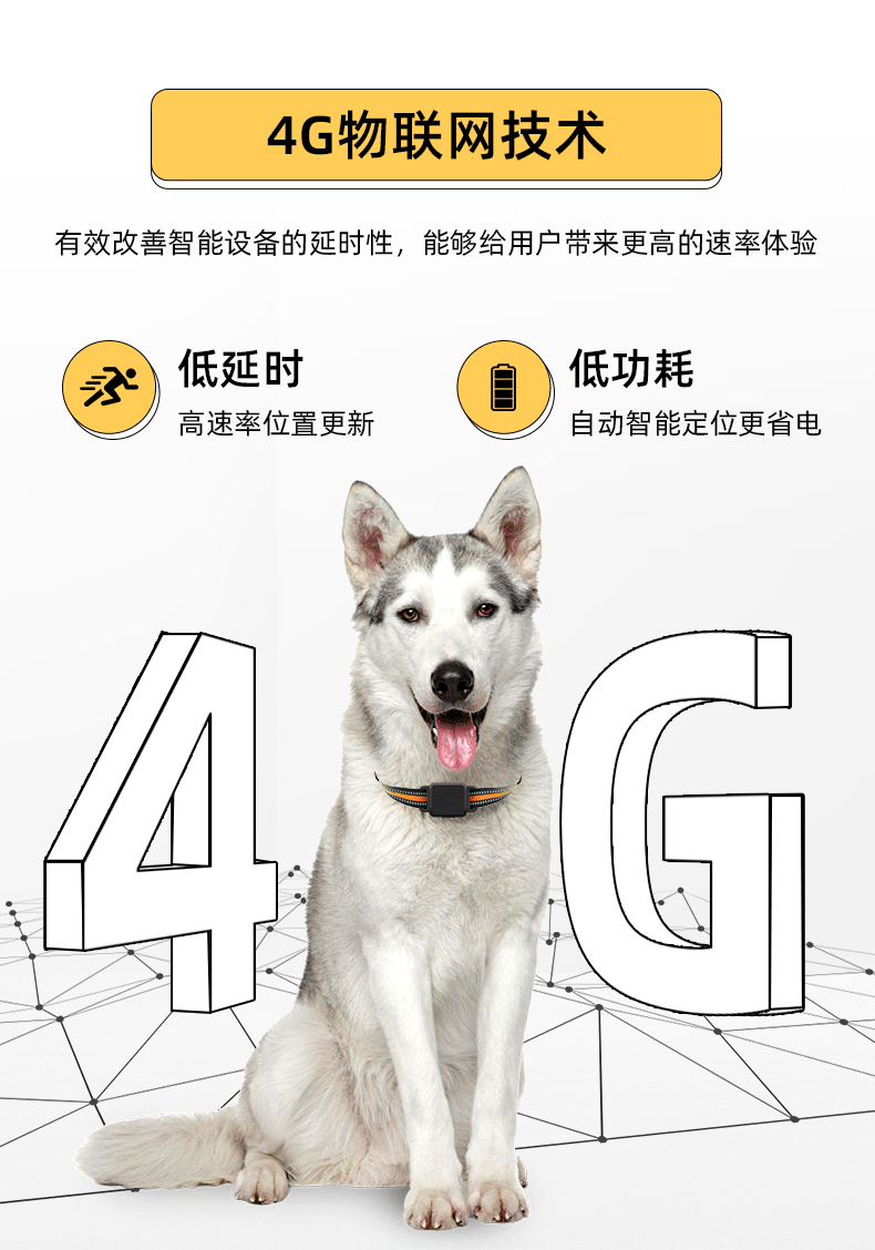宠物定位器_03.gif