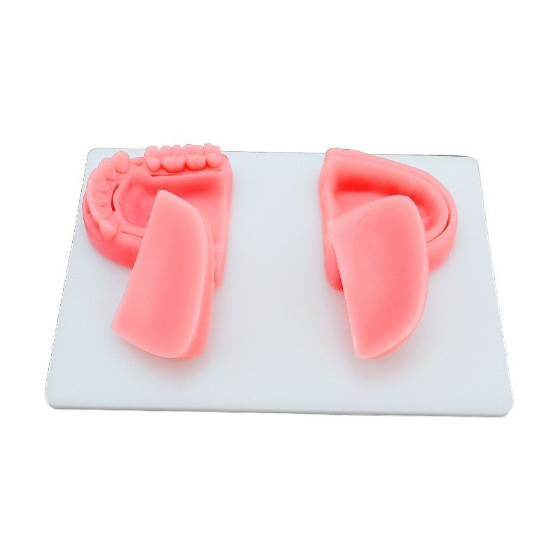 Conjunto de modelo de práctica de sutura dental Paquete de sutura grande Módulo oral de simulación Módulo de herramienta de entrenamiento quirúrgico