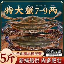 ����з�ش�Ұ����ɽ���з�����䶳��з����ˮ����з��з��з˳��