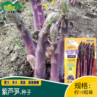 ���S���J�S�N�� �r��ˈ@�Nֲ��횲��|�ؼ����w�S��΢���J�S�N��