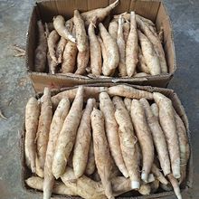 ��������o�����r���������ě�����1��3��5�����Ҝ�ʳ��2025��