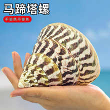 �����R��������Ȼ����ؐ���t�����~��ˮ���쾰�˱��ݼҾӔ[��ɺ��