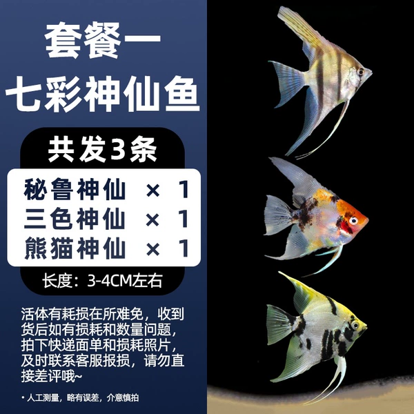 3-4cm fairy set 1 3 pieces in total
