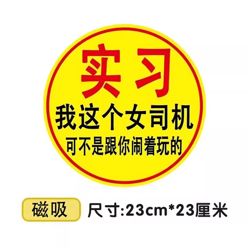 Magnetic suction model/ 23cm [i am a female driver]