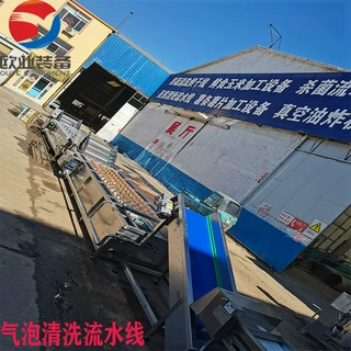 菠菜清洗机 火龙果清洗流水线 苹果清洗加工设备 预制菜清洗设备